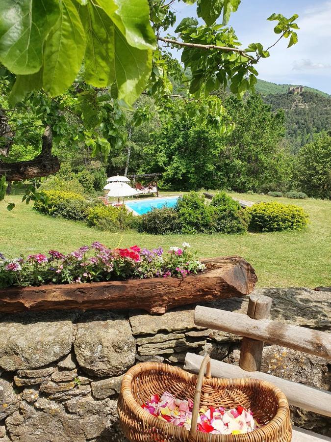 Mas Des Terrasses Villa Aujac  Eksteriør bilde